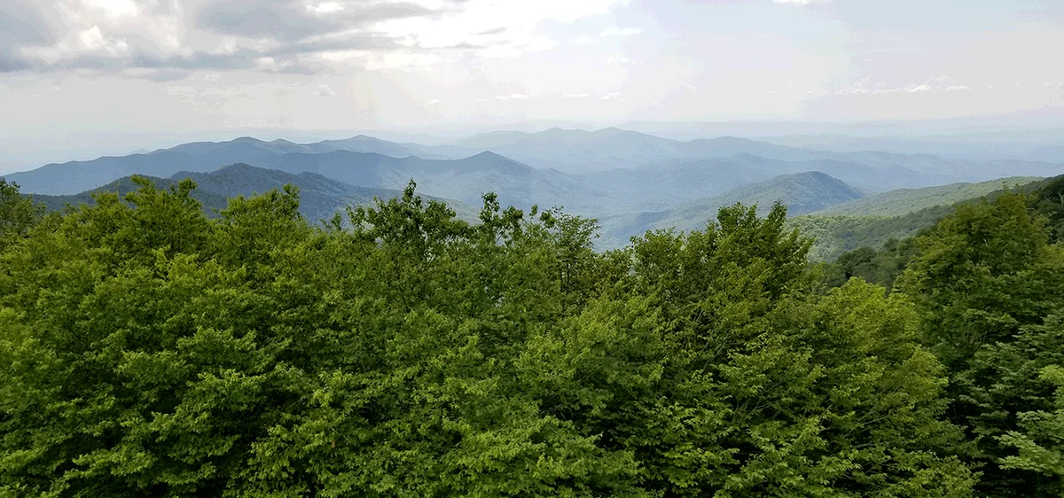 Layered mountain ridges from the supplied Long Branch Estates photographs